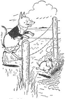 img23.jpg