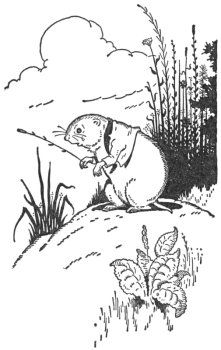 img4.jpg