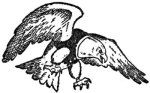 img5.jpg
