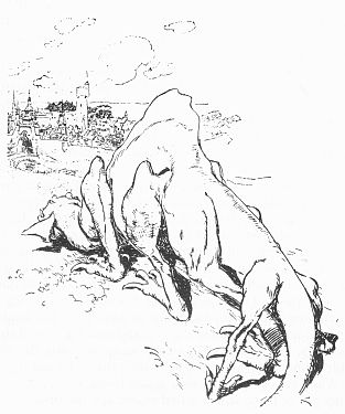 img24.jpg