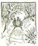 img14.jpg