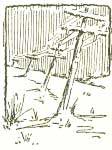 img17.jpg