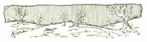 img18.jpg