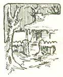 img42.jpg