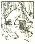 img47.jpg