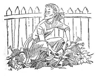 img12.jpg