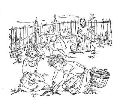 img3.jpg