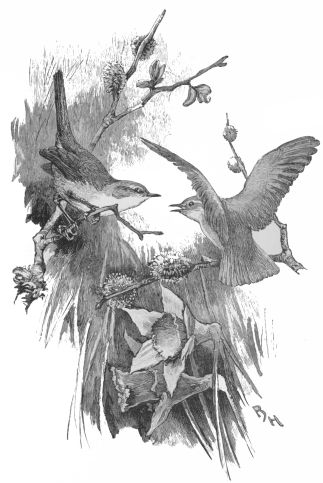 img10.jpg