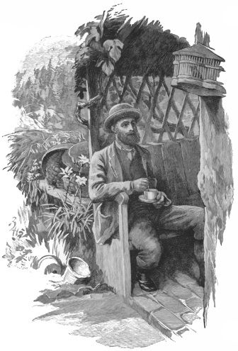 img5.jpg