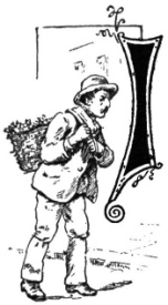 img2.jpg