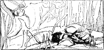 img10.png
