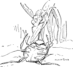 img11.png