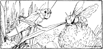 img12.png