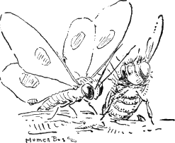 img19.png