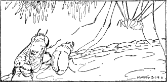 img20.png