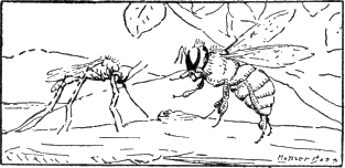 img22.png