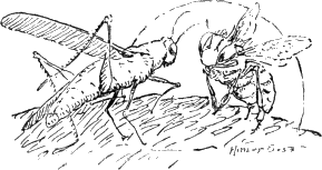 img23.png