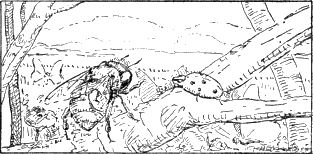 img27.png