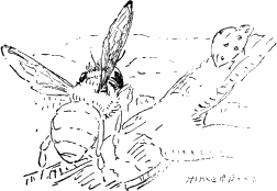 img28.png