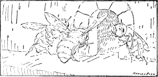 img33.png