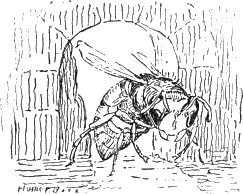 img37.png