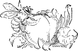 img4.png