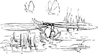 img8.png