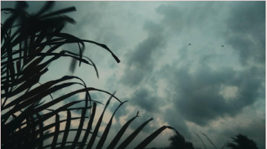 img35.png