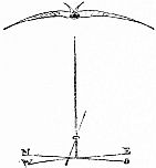 img12.jpg