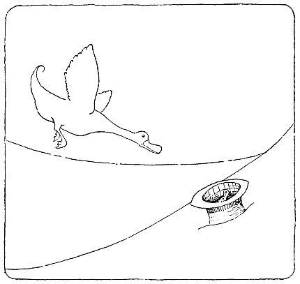 img17.jpg