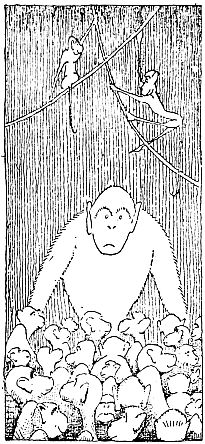 img28.jpg