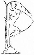img29.jpg