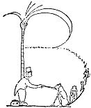 img31.jpg