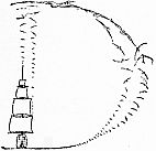 img37.jpg