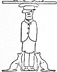 img5.jpg