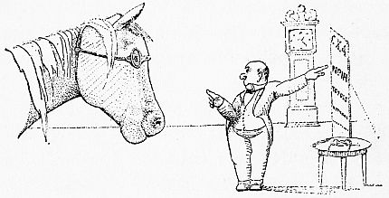 img6.jpg