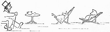 img9.jpg