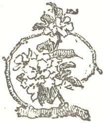 img9.jpg