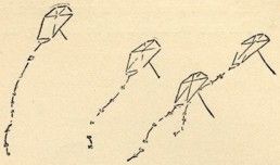 img27.jpg