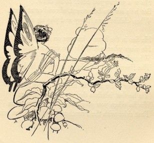 img47.jpg
