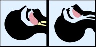 img12.jpg