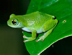 img15.jpg