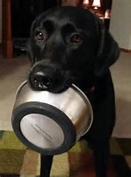 img22.jpg