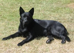 img3.jpg