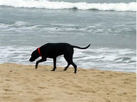 img31.jpg