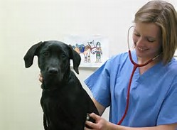 img34.jpg
