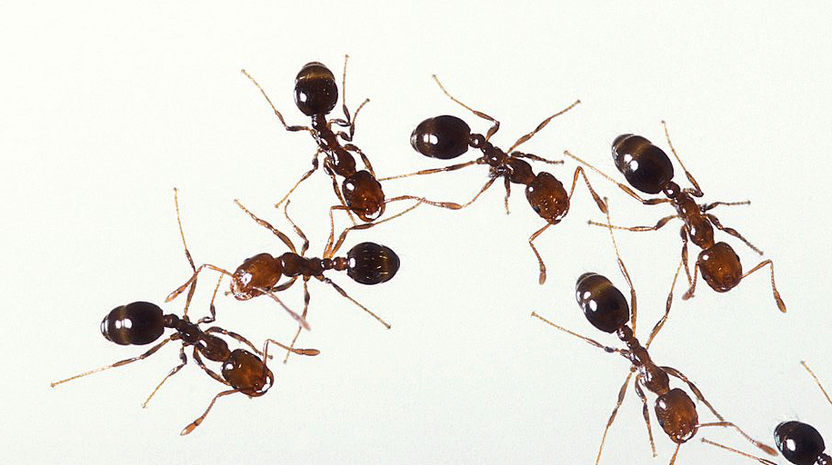 img15.png