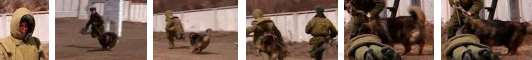 img22.png