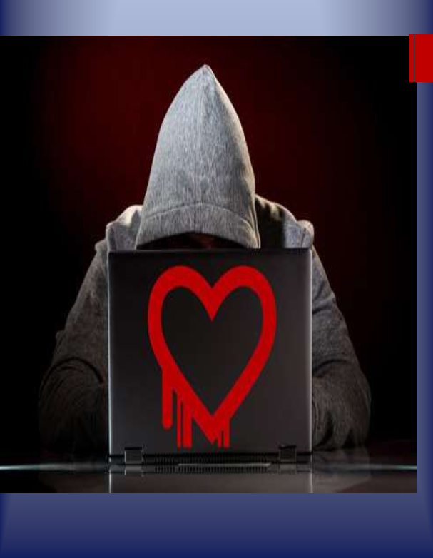 img20.png