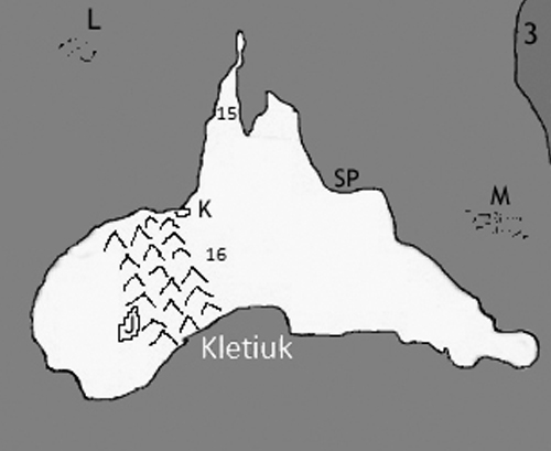 img5.jpg